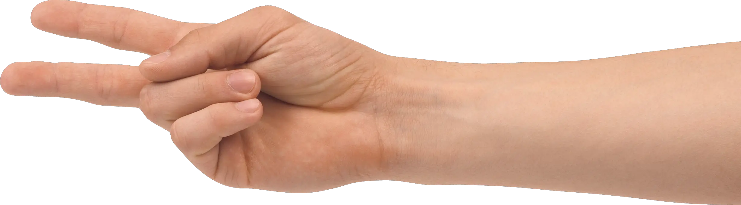 Two finger hand hands PNG hand image free