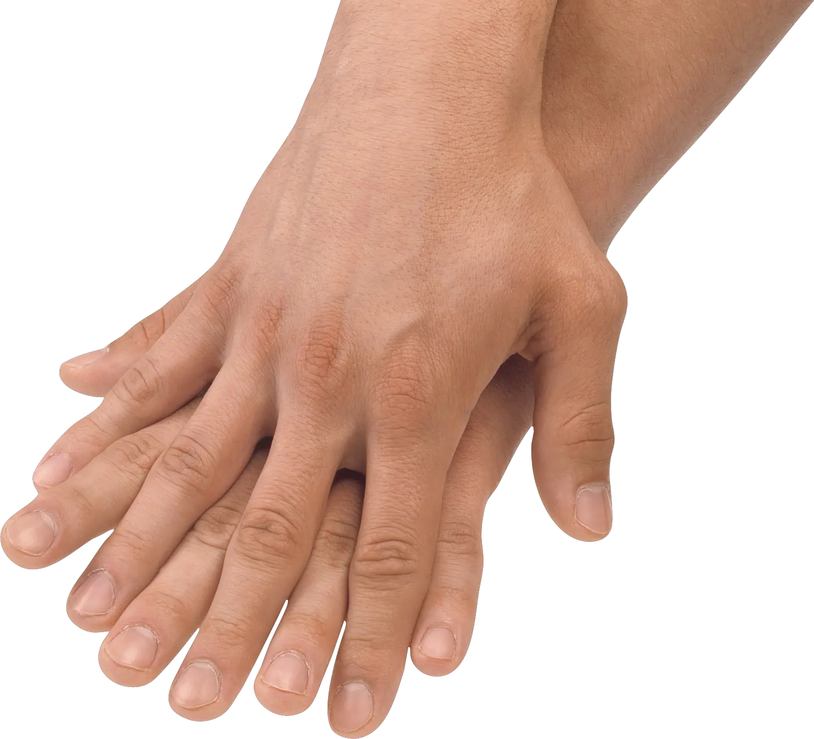 Hands PNG hand image free
