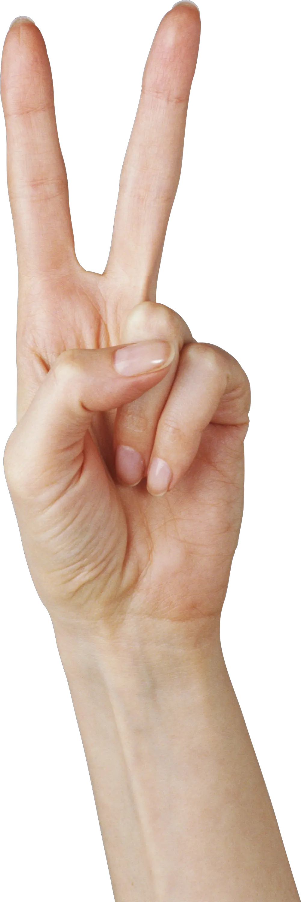 Hands PNG hand image free