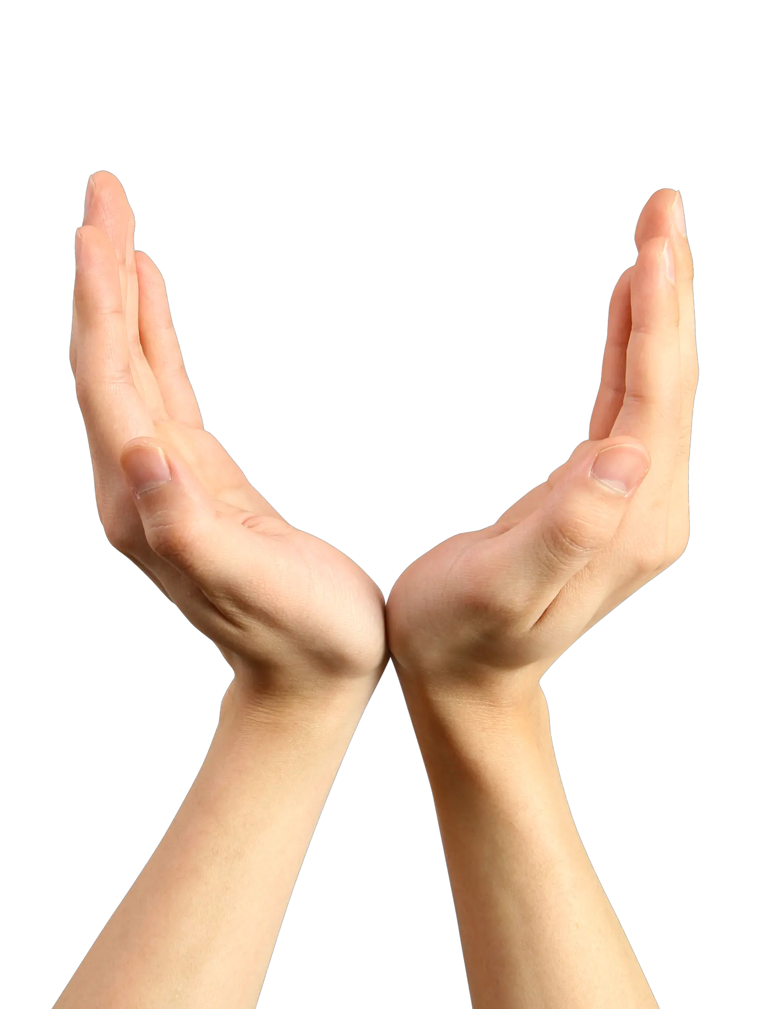 Hands PNG hand image free