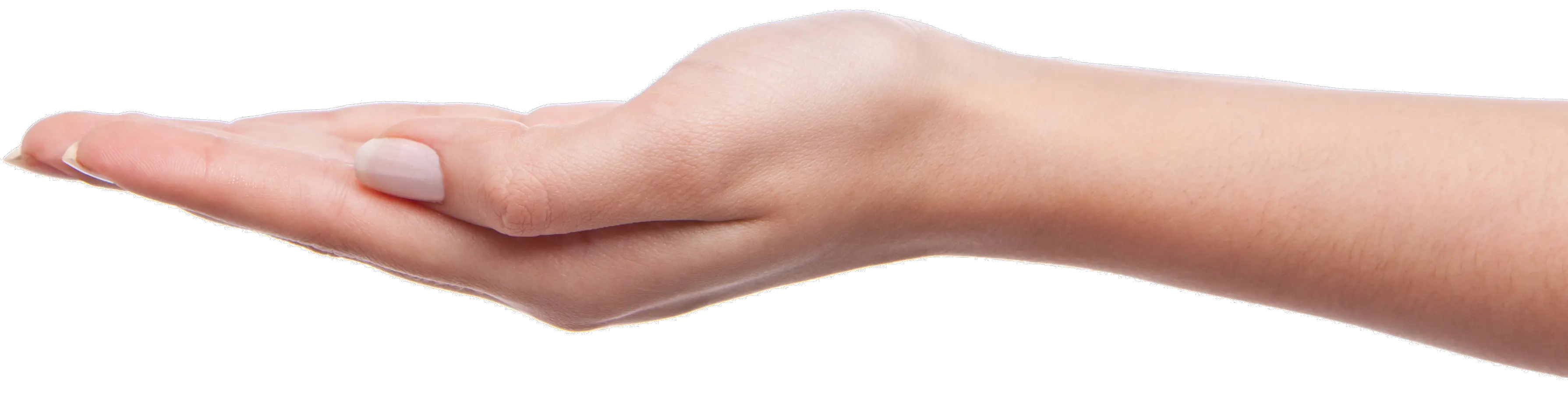 Palm hands PNG hand image free