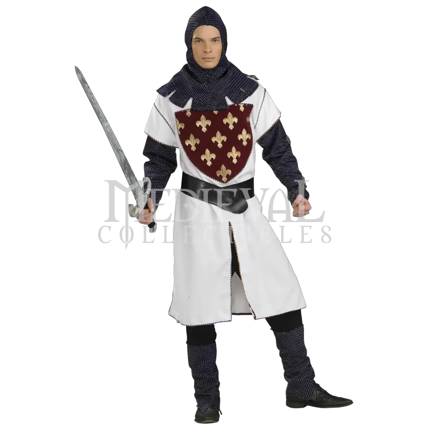 Medieval knight PNG