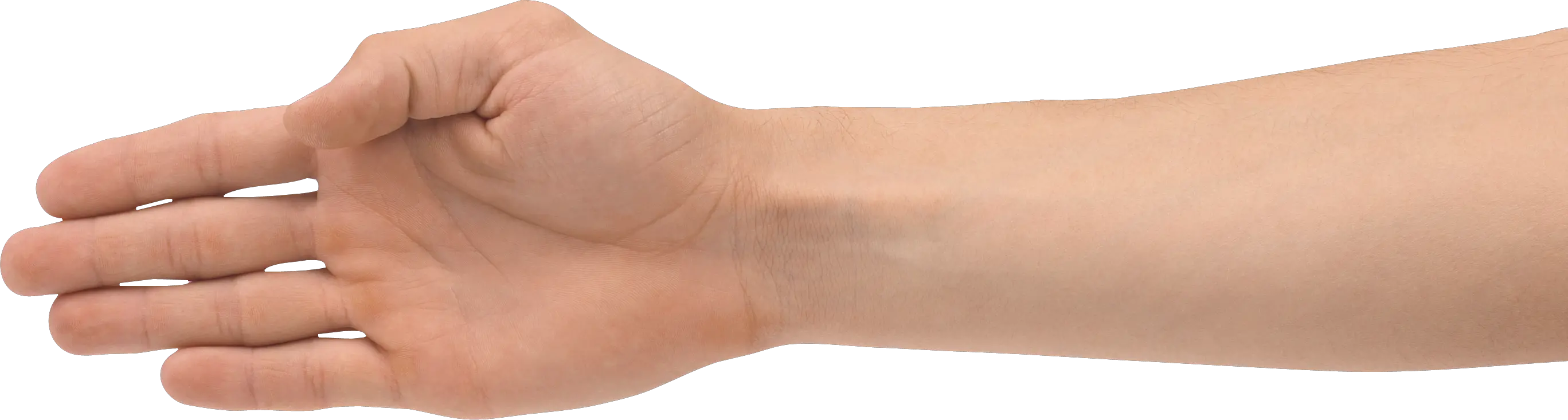 Hands PNG hand image free