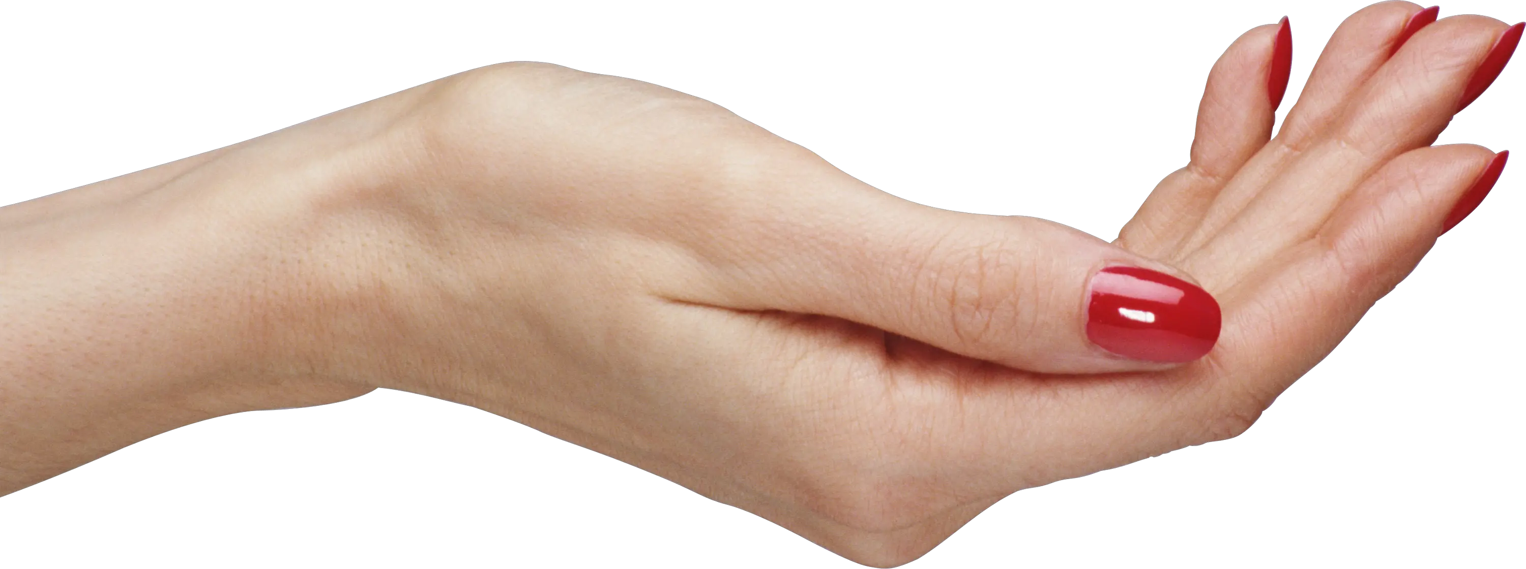 Palm hands PNG hand image free