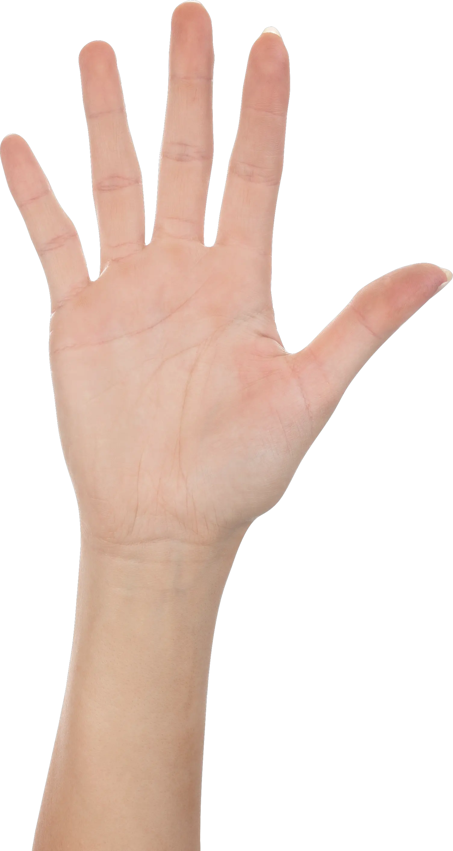 Hands PNG hand image free
