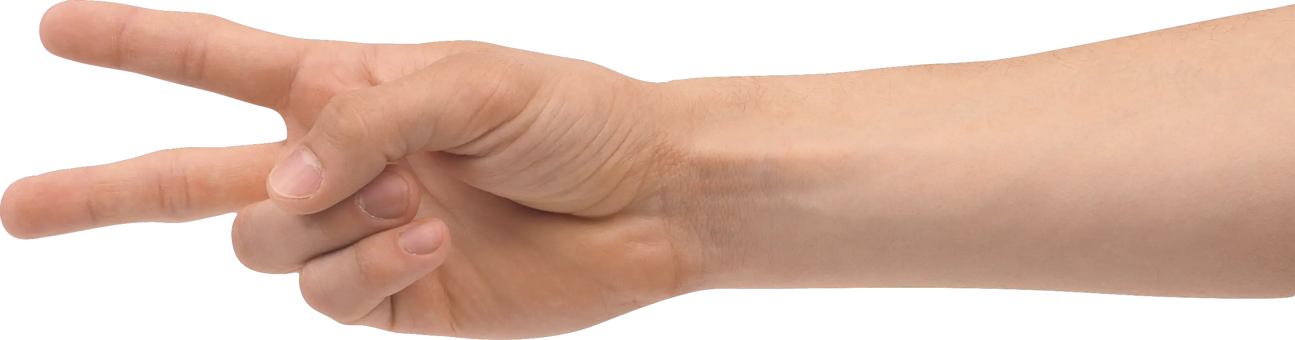 Hands PNG hand image free