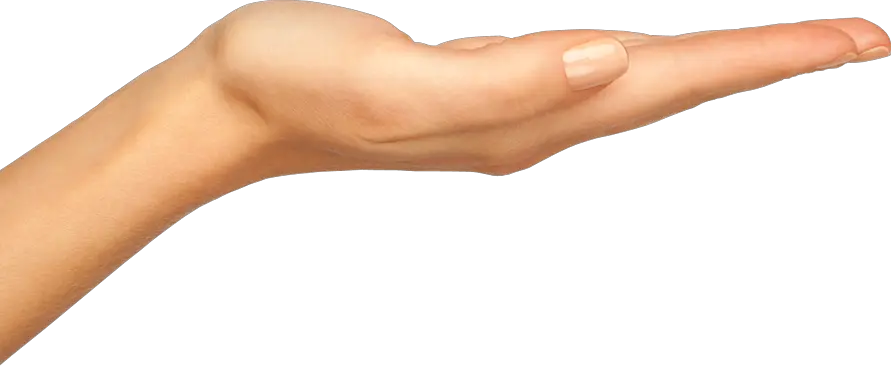 Hands PNG hand image free