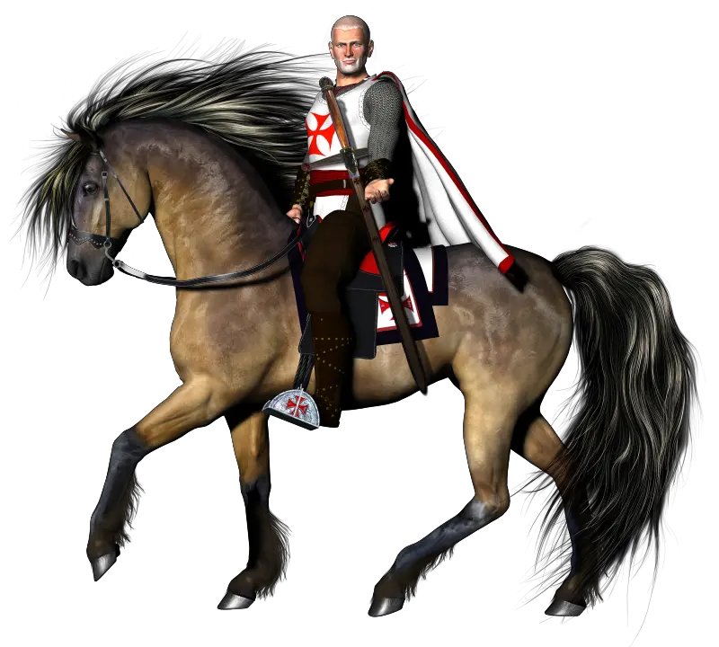 Medieval knight PNG