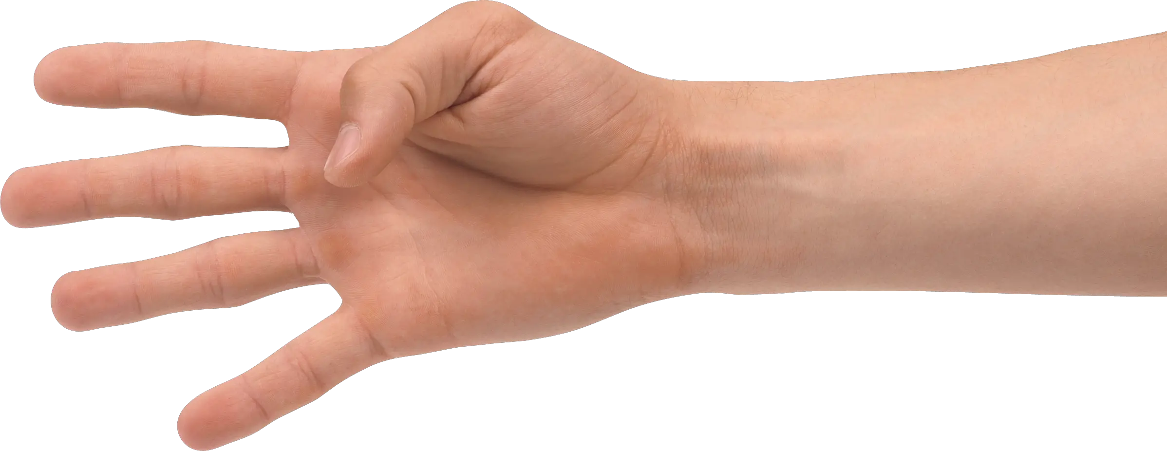 Hands PNG hand image free