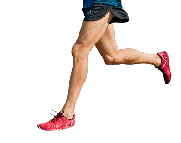 Sport legs PNG image leg PNG