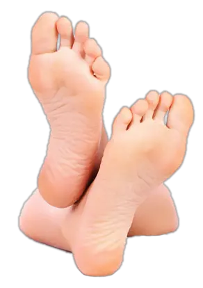Foot PNG image