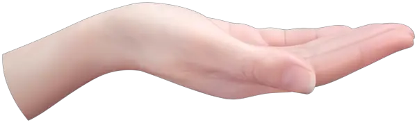 hand PNG
