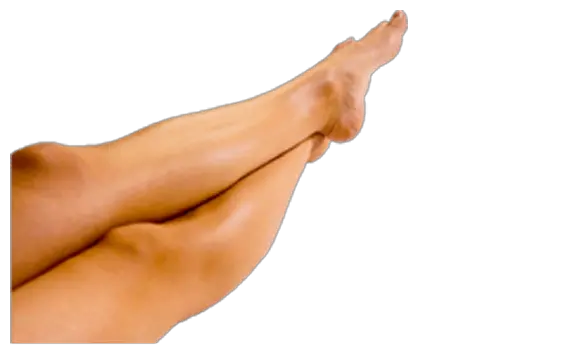Legs PNG image leg PNG
