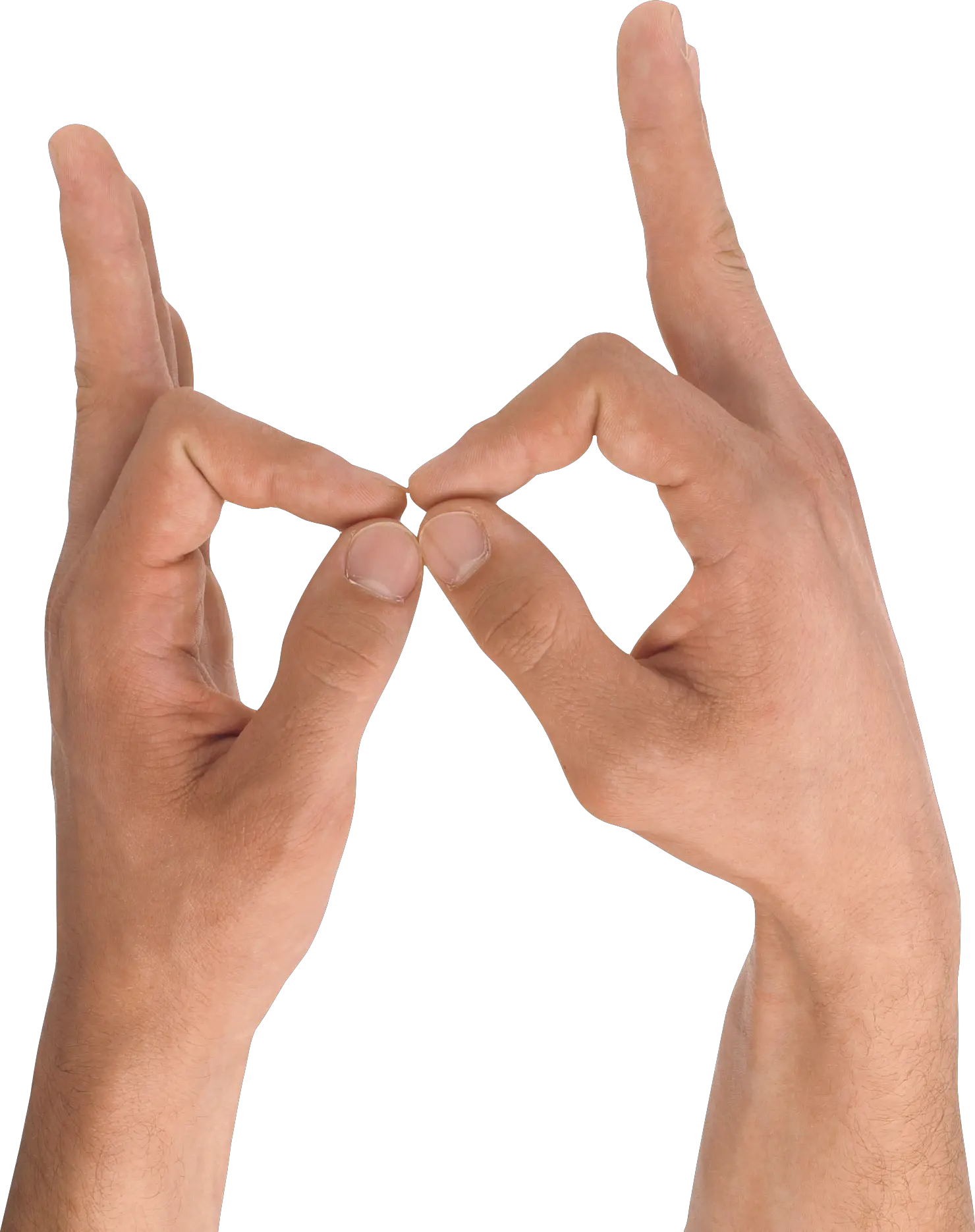 Hands PNG hand image free