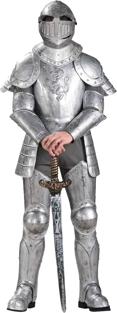Medieval knight PNG