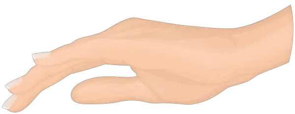 hand PNG