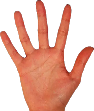 Palm hands PNG hand image free