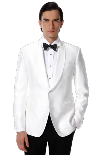 Groom PNG