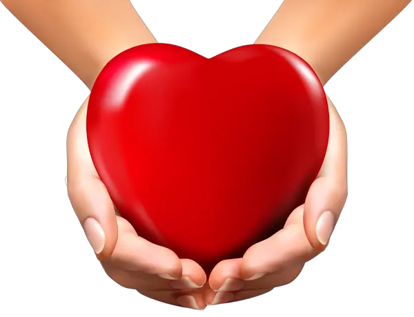 heart in hands PNG