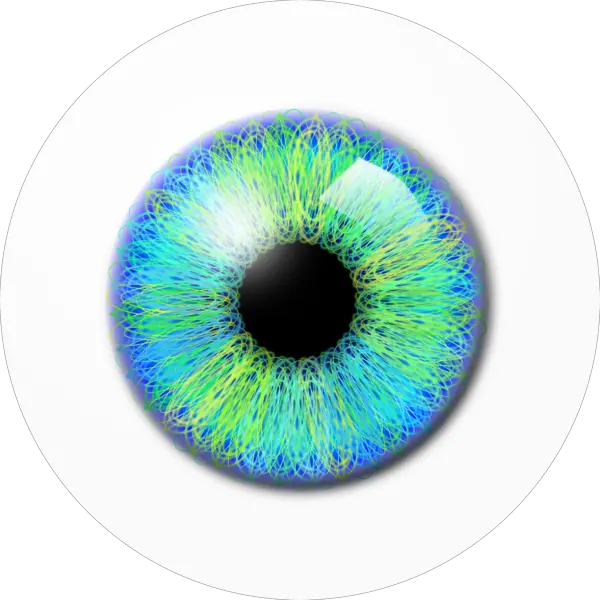 Eye PNG