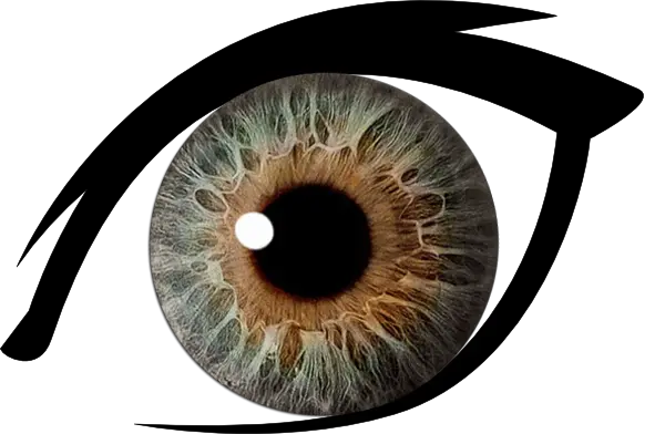 Eye PNG