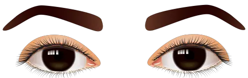 Eyes PNG