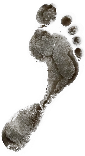 Footprints PNG