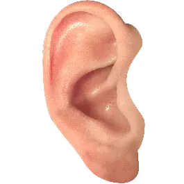 Ear PNG