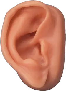 Ear PNG