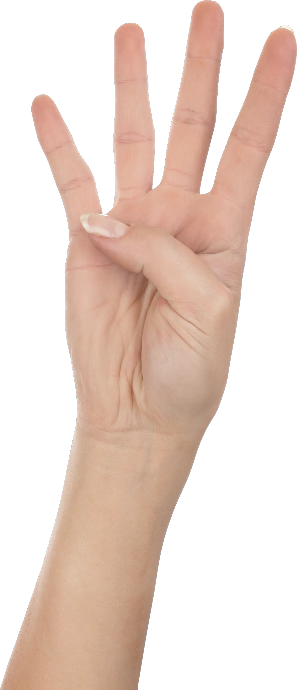 four fingers PNG image
