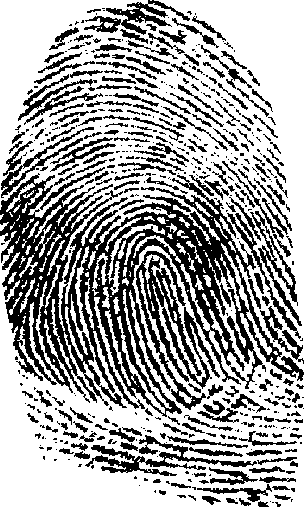 Fingerprint PNG