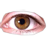 Eye PNG