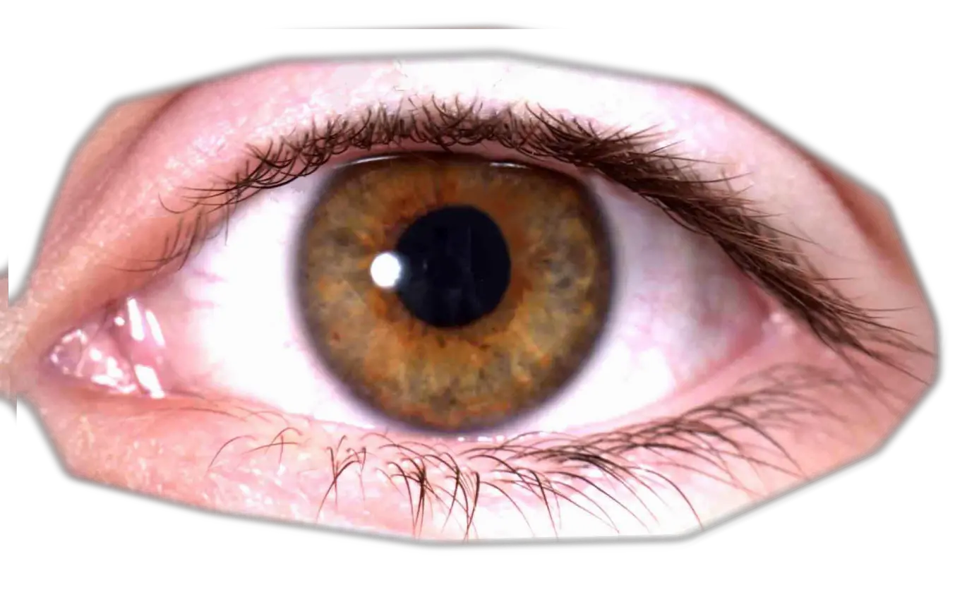 Eye PNG
