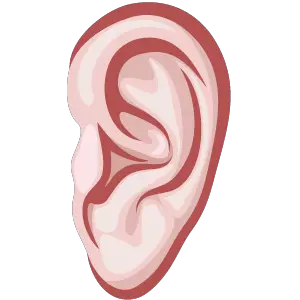 Ear PNG image