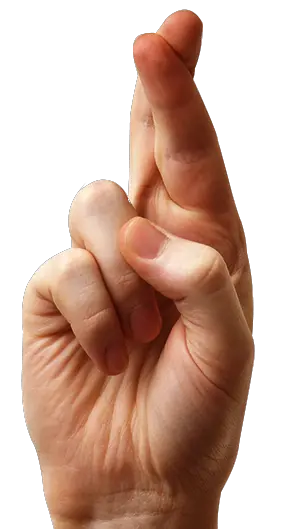 Fingers PNG image
