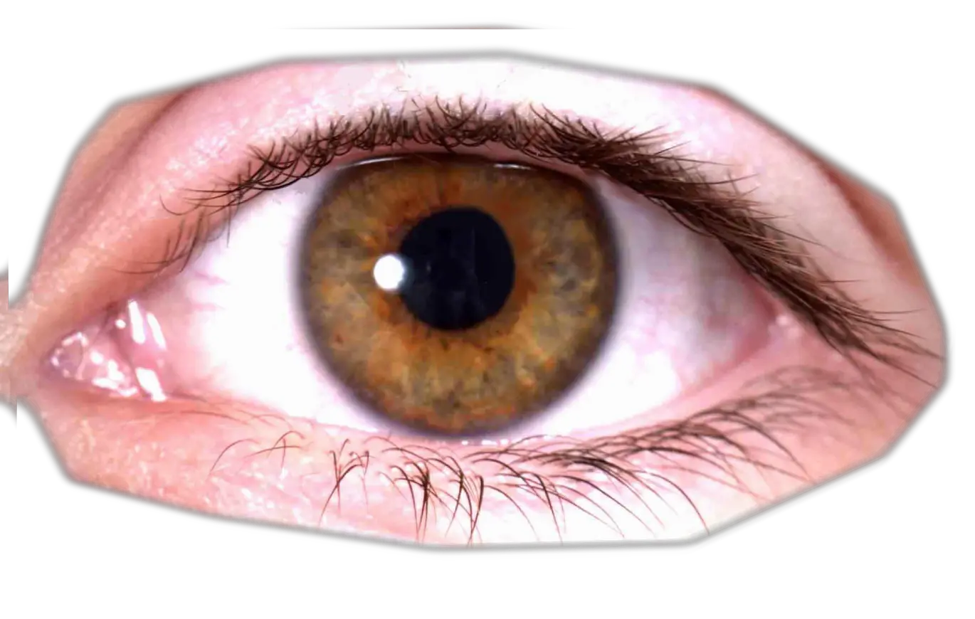 Eye PNG image