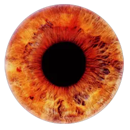 Eye PNG