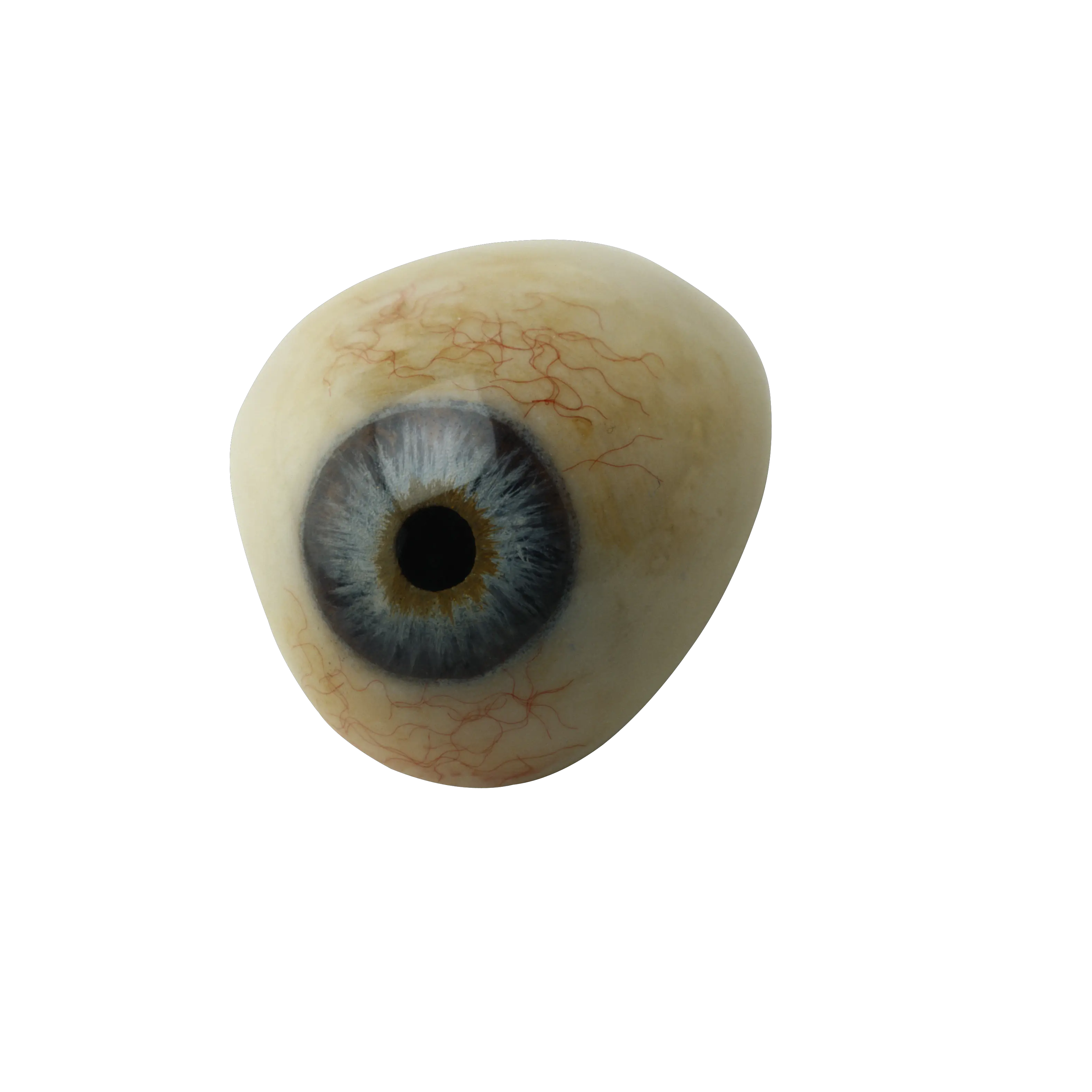 Eye PNG image