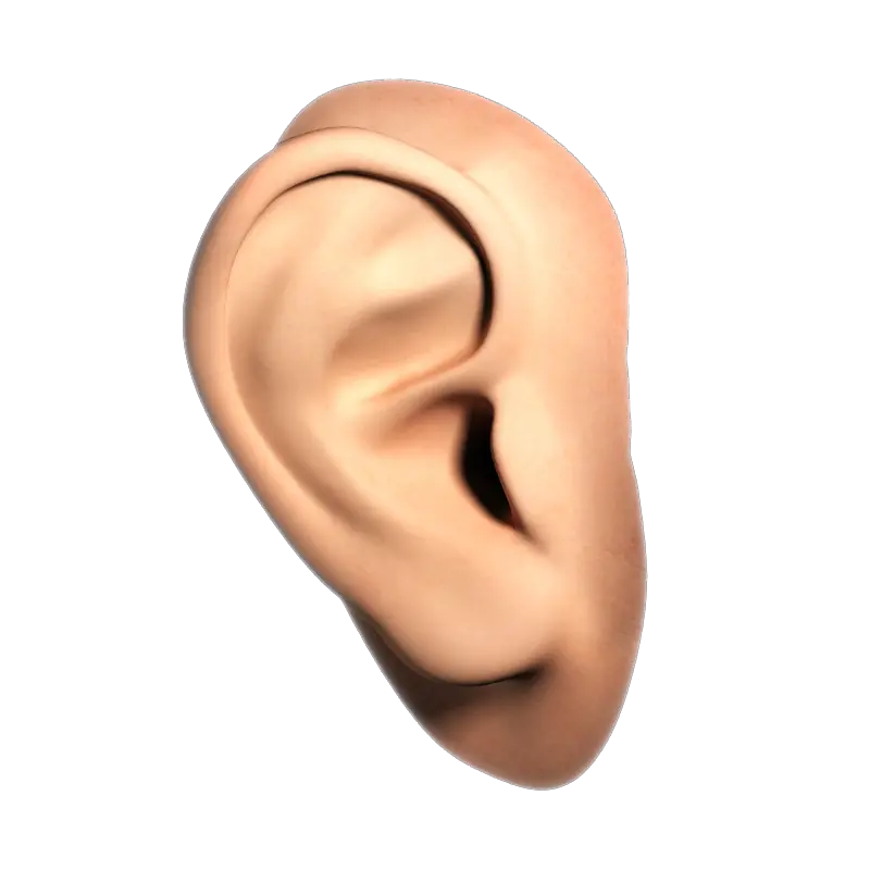 Ear PNG