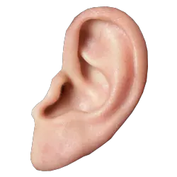 Ear PNG