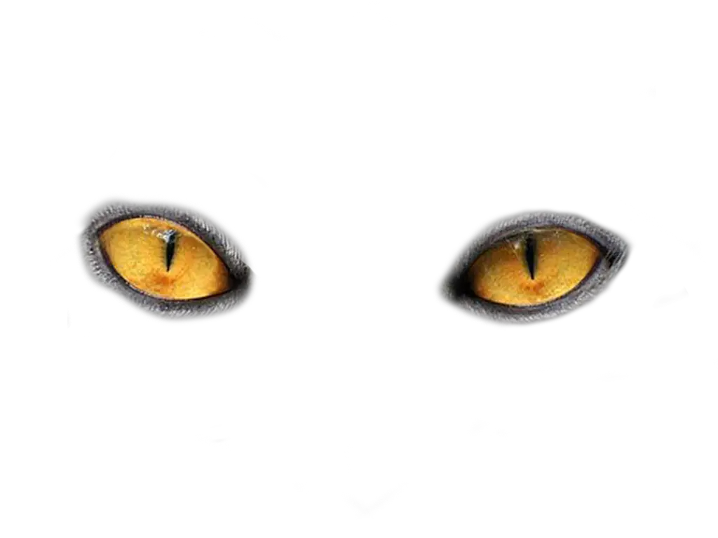 Eyes PNG image