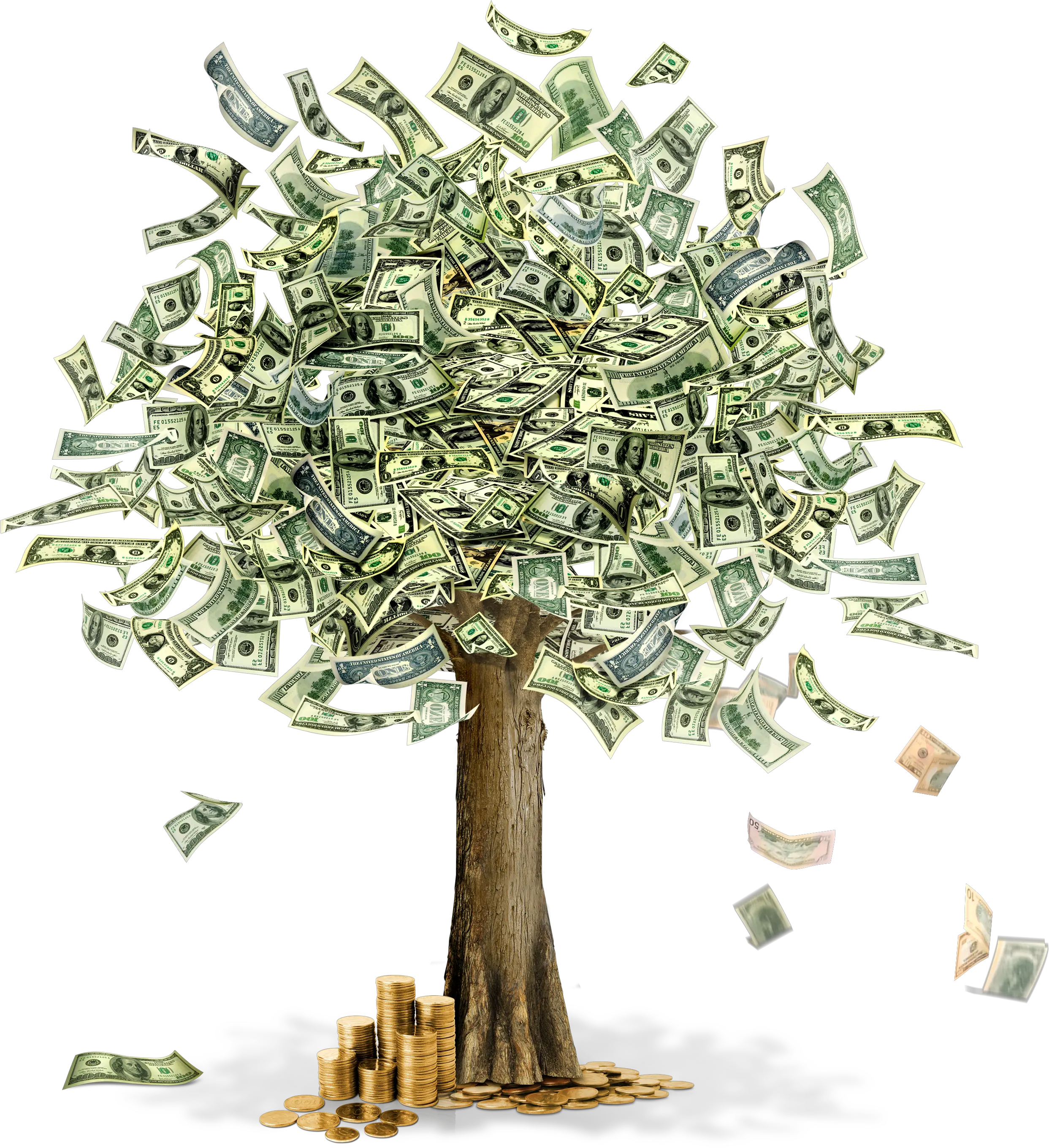 Money tree PNG image