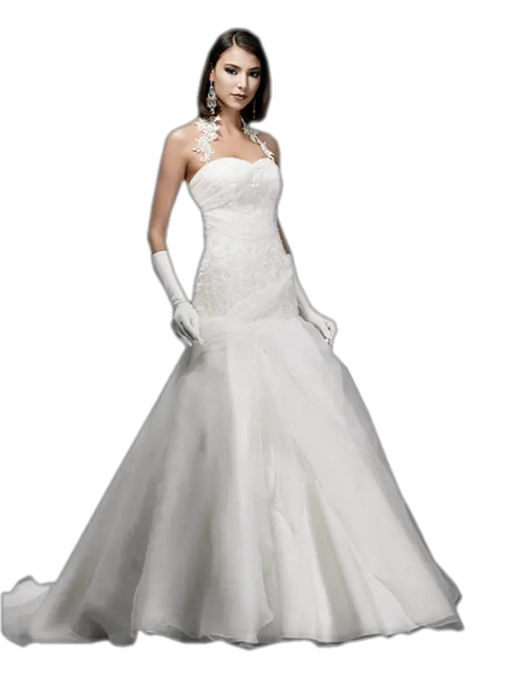 Bride dress PNG