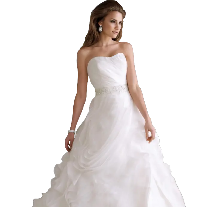 Bride PNG