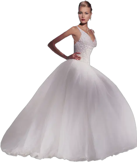 Bride dress PNG