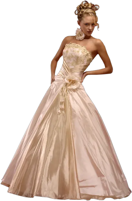Bride dress PNG