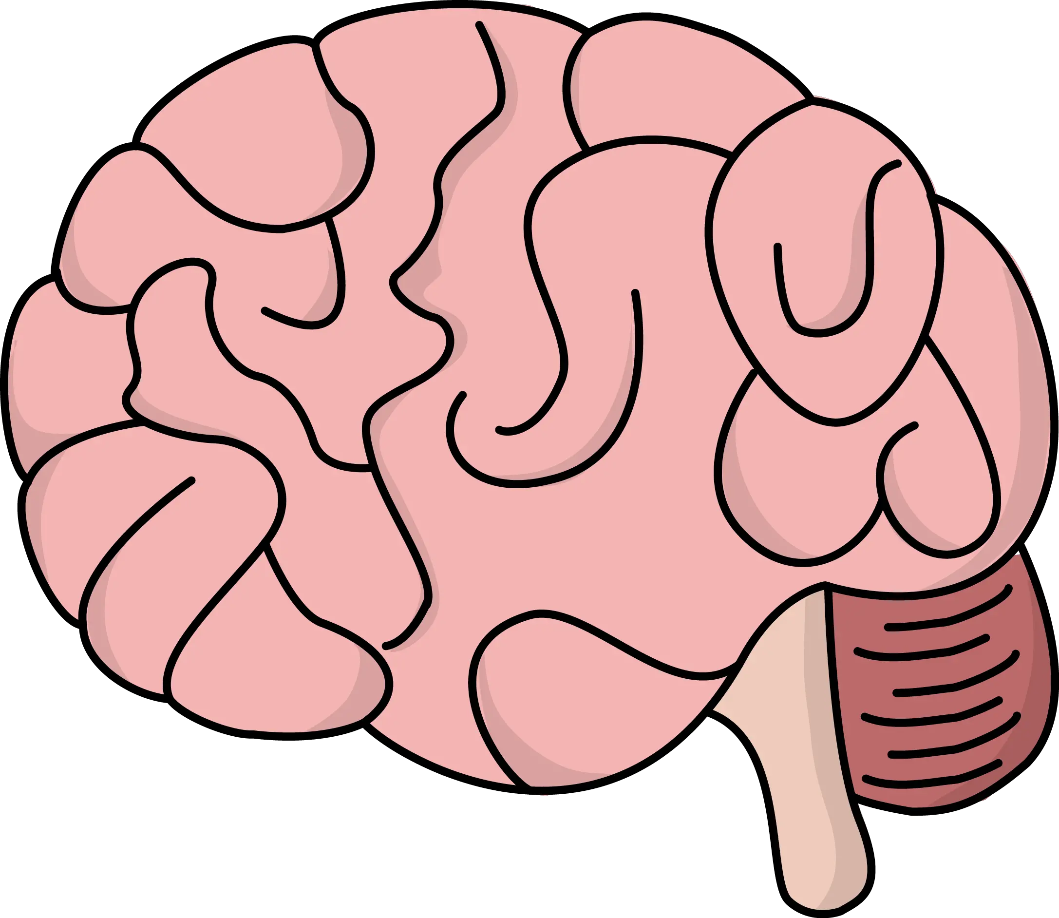 Brain PNG