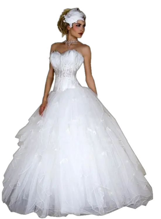Bride dress PNG