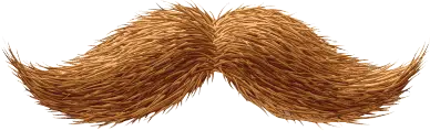 Moustache PNG image