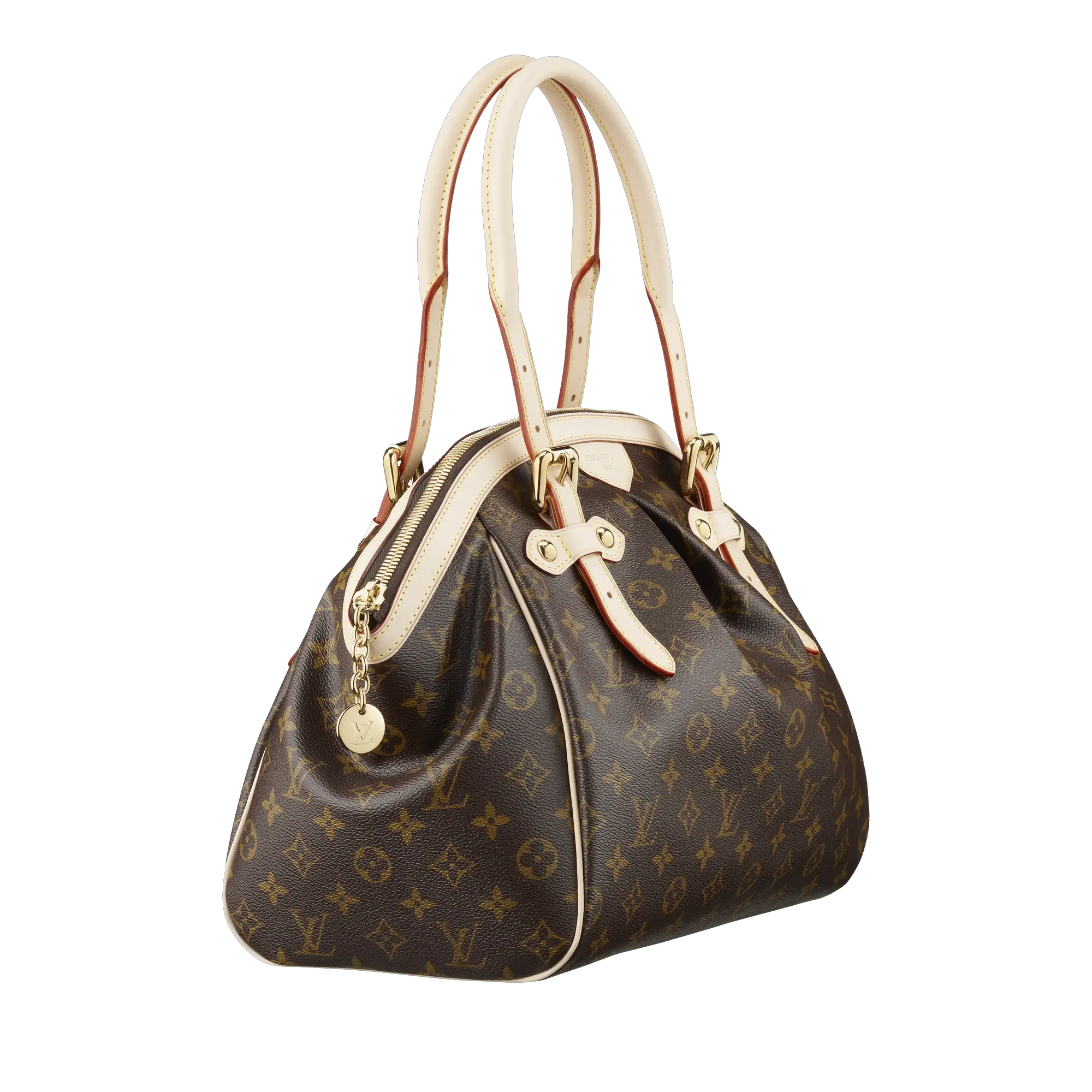 Louis Vuitton Women bag PNG image